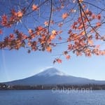 Avatar of Taimoor Rafiq